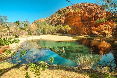 interesting facts about alice springs